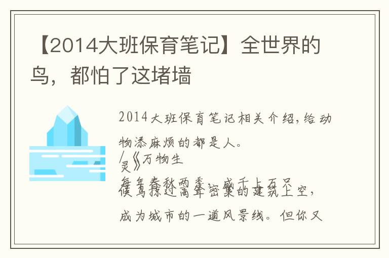 【2014大班保育筆記】全世界的鳥，都怕了這堵墻