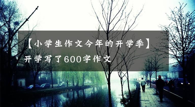 【小學(xué)生作文今年的開學(xué)季】開學(xué)寫了600字作文