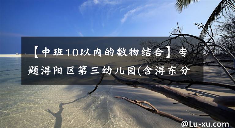 【中班10以內(nèi)的數(shù)物結(jié)合】專題潯陽(yáng)區(qū)第三幼兒園(含潯東分園)開(kāi)展幼兒期末考核測(cè)評(píng)