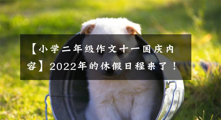 【小學(xué)二年級作文十一國慶內(nèi)容】2022年的休假日程來了！春節(jié)、國慶節(jié)、5月1日連休這么休