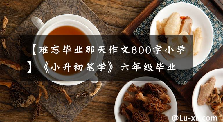 【難忘畢業(yè)那天作文600字小學(xué)】《小升初筆學(xué)》六年級畢業(yè)考試作文題及例句