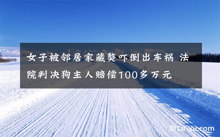 女子被鄰居家藏獒嚇倒出車禍 法院判決狗主人賠償100多萬元