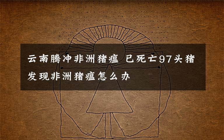 云南騰沖非洲豬瘟 已死亡97頭豬發(fā)現(xiàn)非洲豬瘟怎么辦