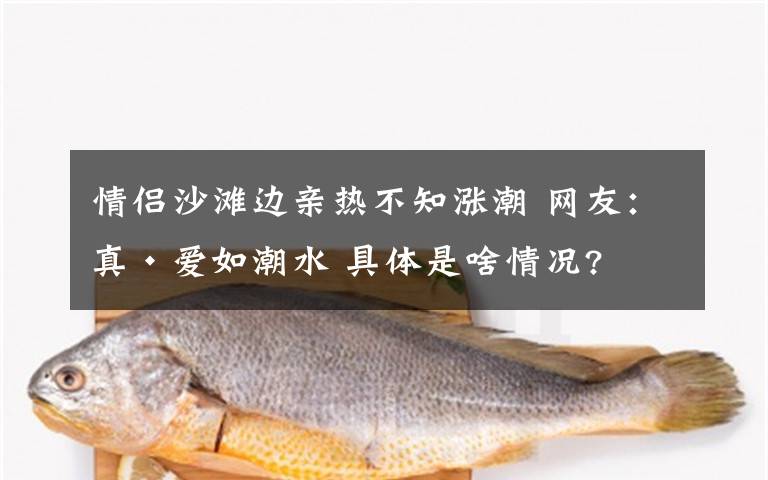 情侶沙灘邊親熱不知漲潮 網(wǎng)友：真·愛(ài)如潮水 具體是啥情況?