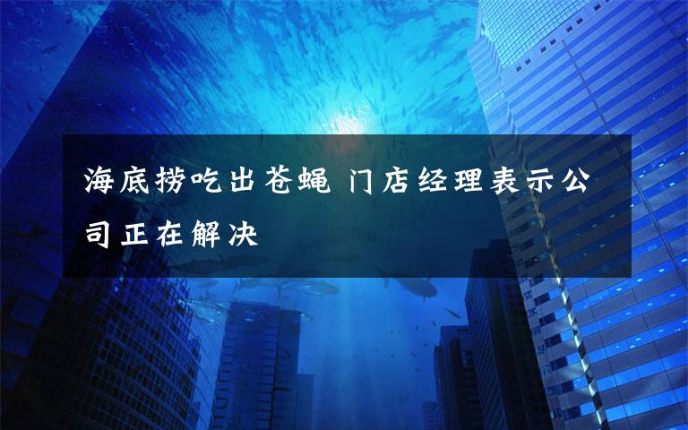 海底撈吃出蒼蠅 門店經(jīng)理表示公司正在解決