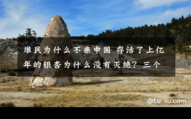 難民為什么不來中國 存活了上億年的銀杏為什么沒有滅絕？三個“避難所”都在中國