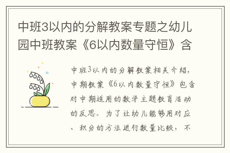 中班3以內(nèi)的分解教案專題之幼兒園中班教案《6以內(nèi)數(shù)量守恒》含反思