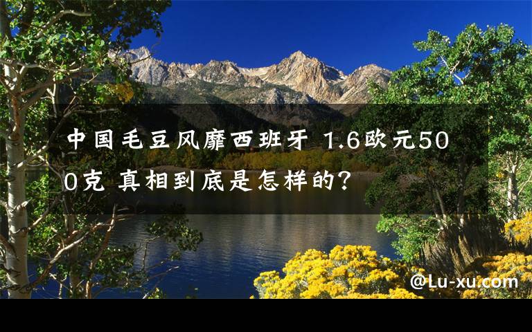 中國(guó)毛豆風(fēng)靡西班牙 1.6歐元500克 真相到底是怎樣的？