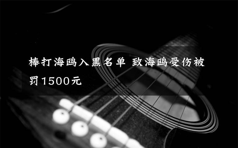 棒打海鷗入黑名單 致海鷗受傷被罰1500元