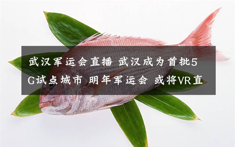 武漢軍運(yùn)會(huì)直播 武漢成為首批5G試點(diǎn)城市 明年軍運(yùn)會(huì) 或?qū)R直播