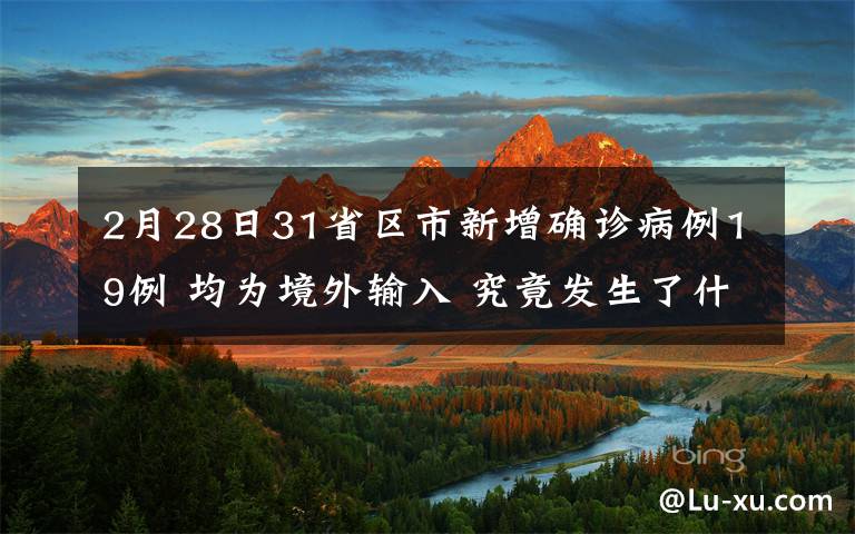 2月28日31省區(qū)市新增確診病例19例 均為境外輸入 究竟發(fā)生了什么?