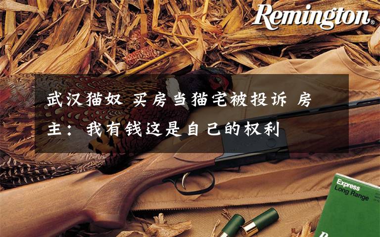 武漢貓奴 買房當貓宅被投訴 房主：我有錢這是自己的權利