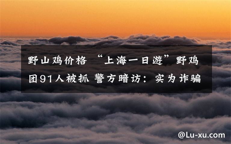 野山雞價(jià)格 “上海一日游”野雞團(tuán)91人被抓 警方暗訪：實(shí)為詐騙團(tuán)伙