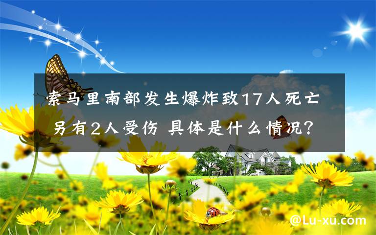 索馬里南部發(fā)生爆炸致17人死亡 另有2人受傷 具體是什么情況？