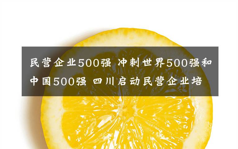 民營企業(yè)500強(qiáng) 沖刺世界500強(qiáng)和中國500強(qiáng) 四川啟動民營企業(yè)培育計劃