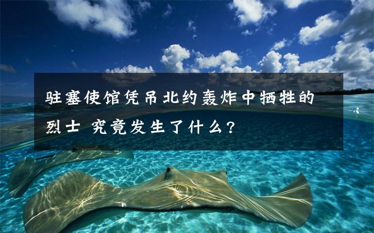 駐塞使館憑吊北約轟炸中犧牲的烈士 究竟發(fā)生了什么?