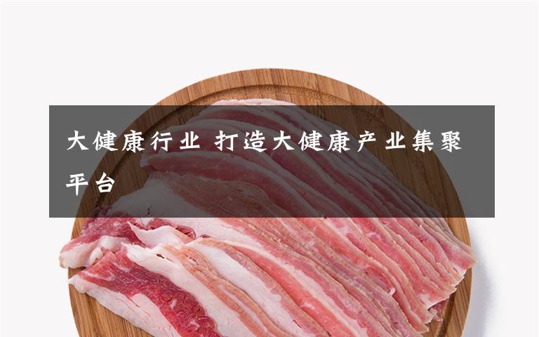 大健康行業(yè) 打造大健康產(chǎn)業(yè)集聚平臺