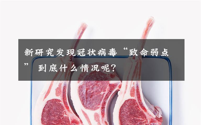 新研究發(fā)現(xiàn)冠狀病毒“致命弱點” 到底什么情況呢？