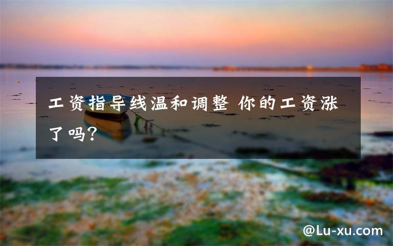 工資指導(dǎo)線溫和調(diào)整 你的工資漲了嗎？