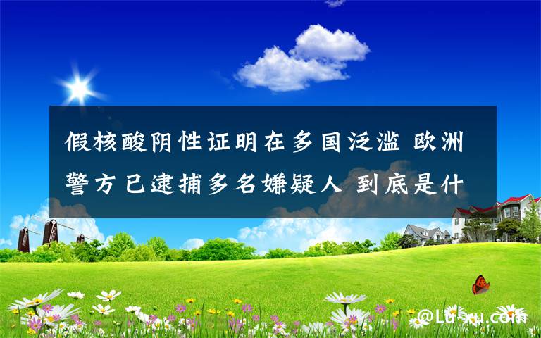 假核酸陰性證明在多國(guó)泛濫 歐洲警方已逮捕多名嫌疑人 到底是什么狀況？