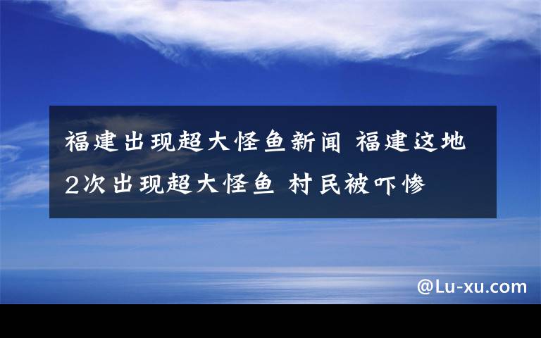 福建出現(xiàn)超大怪魚新聞 福建這地2次出現(xiàn)超大怪魚 村民被嚇慘