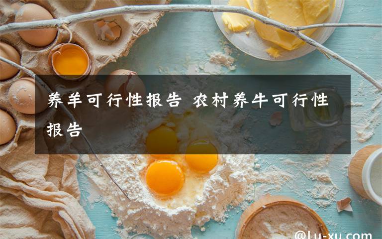 養(yǎng)羊可行性報(bào)告 農(nóng)村養(yǎng)?？尚行詧?bào)告