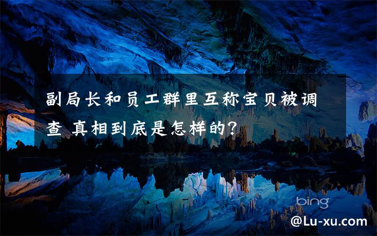 副局長和員工群里互稱寶貝被調(diào)查 真相到底是怎樣的？