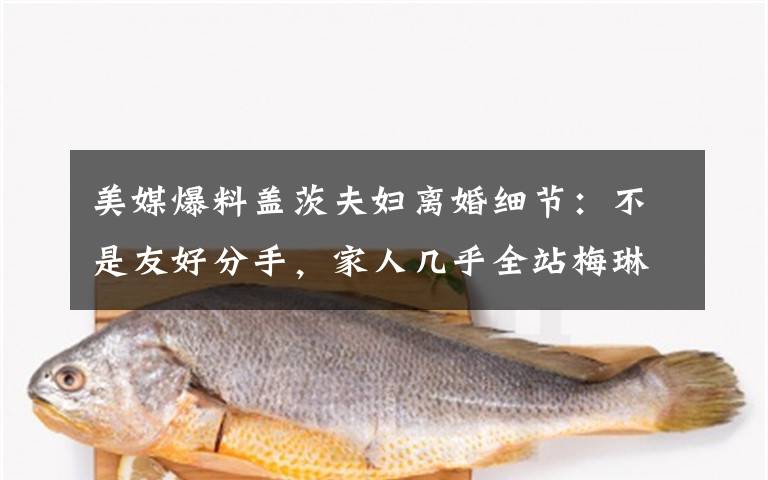 美媒爆料蓋茨夫婦離婚細節(jié)：不是友好分手，家人幾乎全站梅琳達 事情經過真相揭秘！