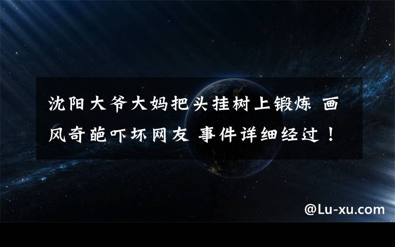 沈陽大爺大媽把頭掛樹上鍛煉 畫風(fēng)奇葩嚇壞網(wǎng)友 事件詳細(xì)經(jīng)過！