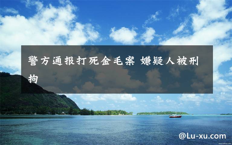 警方通報(bào)打死金毛案 嫌疑人被刑拘