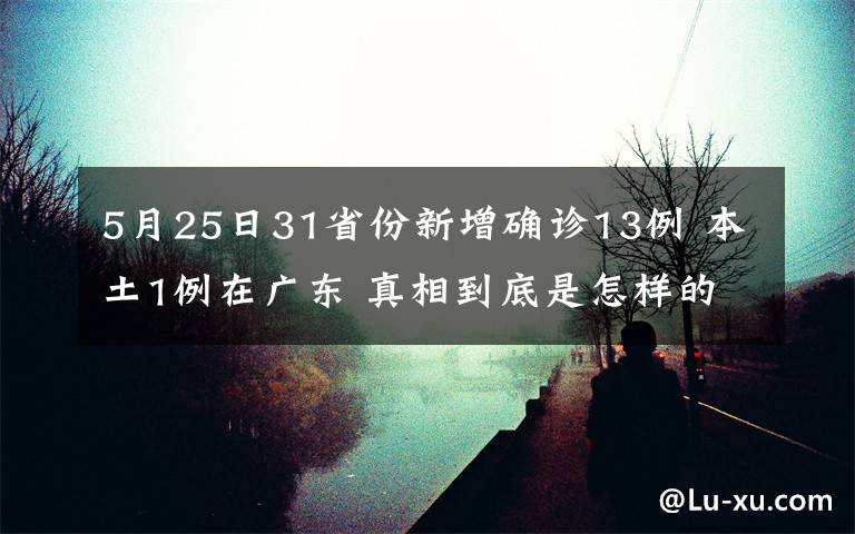 5月25日31省份新增確診13例 本土1例在廣東 真相到底是怎樣的？