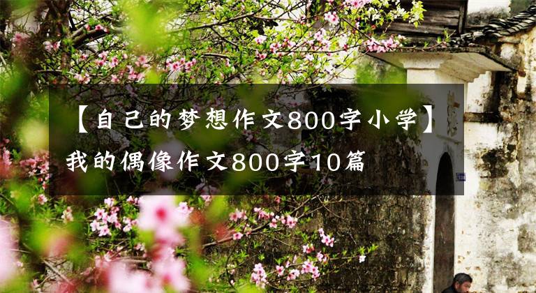 【自己的夢想作文800字小學】我的偶像作文800字10篇