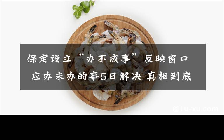 保定設(shè)立“辦不成事”反映窗口 應(yīng)辦未辦的事5日解決 真相到底是怎樣的？