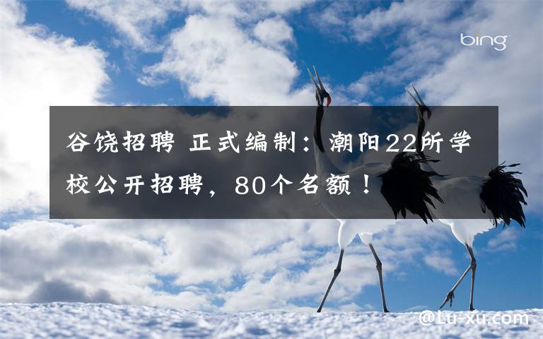 谷饒招聘 正式編制：潮陽22所學校公開招聘，80個名額！