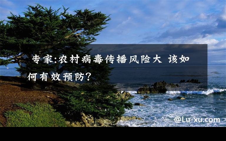  專家:農(nóng)村病毒傳播風(fēng)險(xiǎn)大 該如何有效預(yù)防？