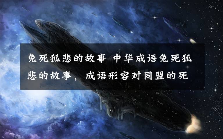 兔死狐悲的故事 中華成語兔死狐悲的故事，成語形容對同盟的死亡和不幸而傷心