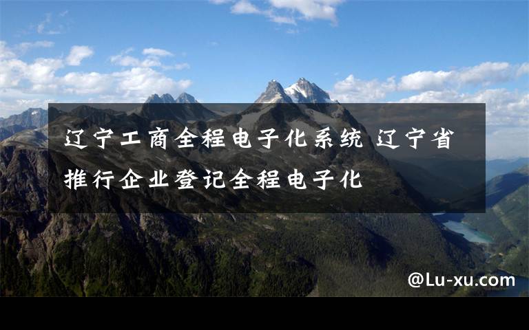 遼寧工商全程電子化系統(tǒng) 遼寧省推行企業(yè)登記全程電子化