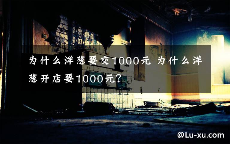 為什么洋蔥要交1000元 為什么洋蔥開店要1000元？