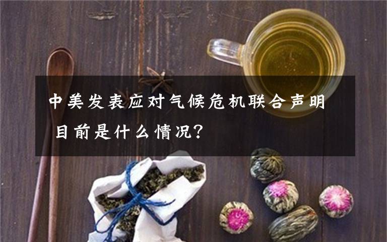 中美發(fā)表應對氣候危機聯(lián)合聲明 目前是什么情況？