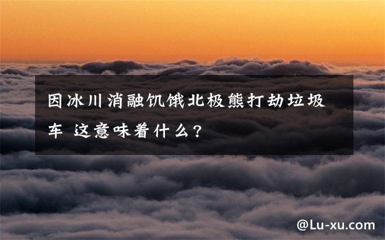 因冰川消融饑餓北極熊打劫垃圾車 這意味著什么?