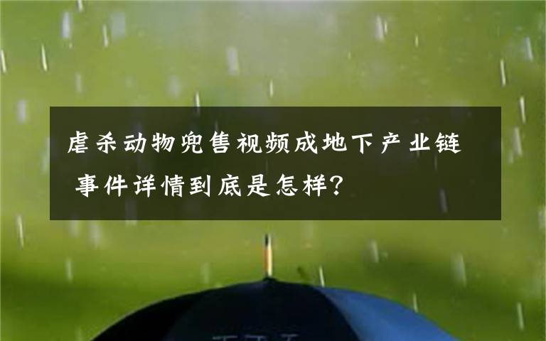 虐殺動物兜售視頻成地下產(chǎn)業(yè)鏈 事件詳情到底是怎樣？