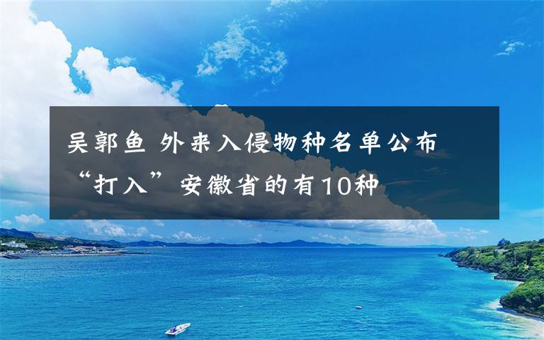 吳郭魚 外來入侵物種名單公布 “打入”安徽省的有10種