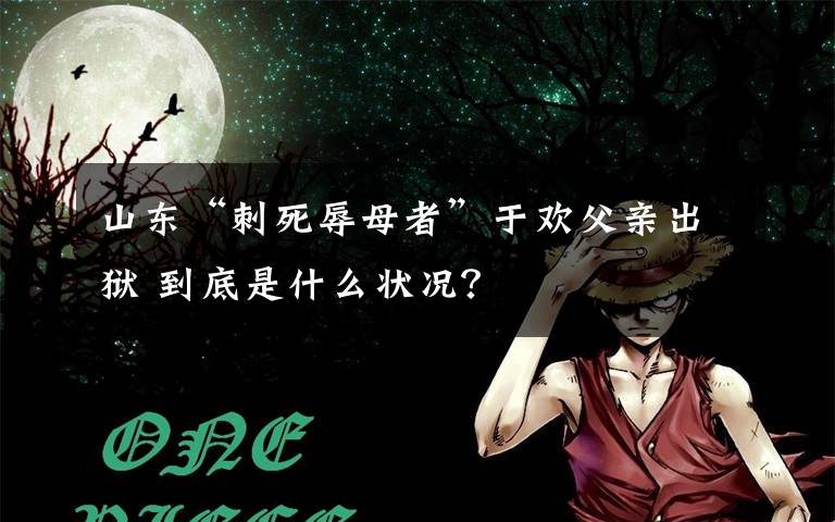 山東“刺死辱母者”于歡父親出獄 到底是什么狀況？