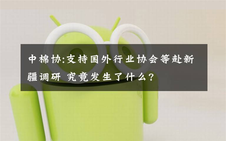 中棉協(xié):支持國(guó)外行業(yè)協(xié)會(huì)等赴新疆調(diào)研 究竟發(fā)生了什么?