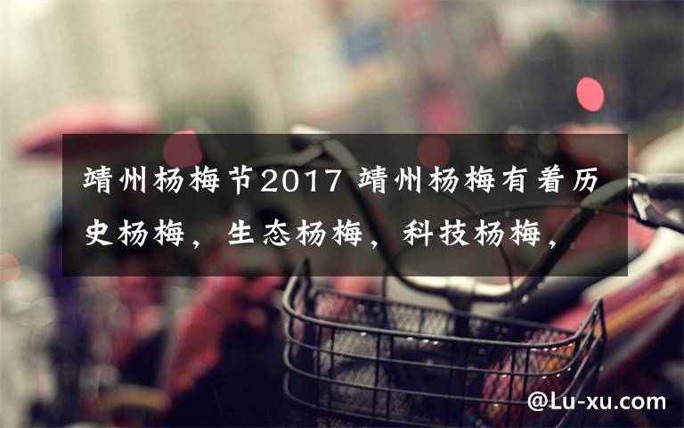 靖州楊梅節(jié)2017 靖州楊梅有著歷史楊梅，生態(tài)楊梅，科技楊梅，響水村文化楊梅博物館