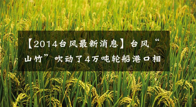 【2014臺風最新消息】臺風“山竹”吹動了4萬噸輪船港口相關(guān)行業(yè)，受到臺風的影響