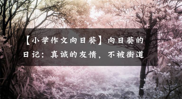 【小學(xué)作文向日葵】向日葵的日記：真誠(chéng)的友情，不被街道疏遠(yuǎn)