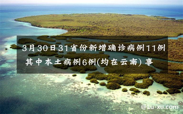 3月30日31省份新增確診病例11例 其中本土病例6例(均在云南) 事件詳細(xì)經(jīng)過！