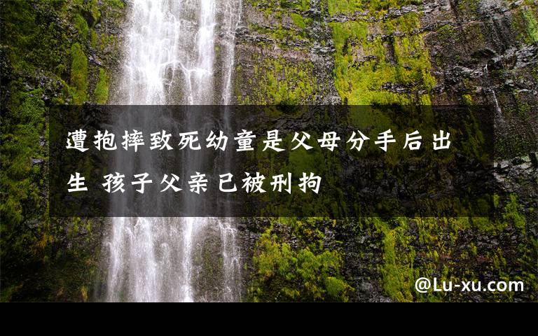 遭抱摔致死幼童是父母分手后出生 孩子父親已被刑拘