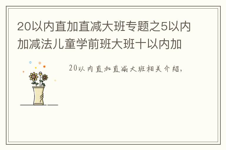 20以內(nèi)直加直減大班專題之5以內(nèi)加減法兒童學前班大班十以內(nèi)加減法20以內(nèi)加減法兒童教材